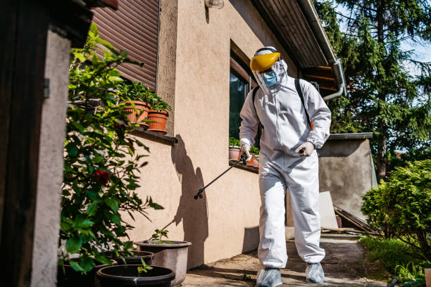 Best Exterminator Services  in Rock Island, WA
