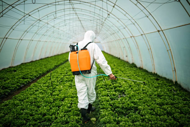 Best Pest Removal Services  in Rock Island, WA