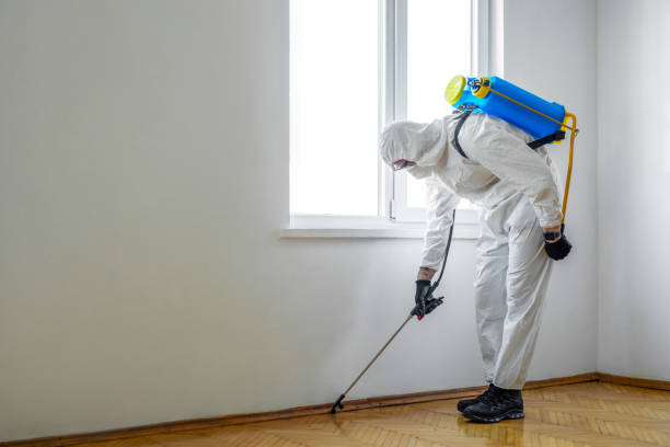 Best Best Pest Control Companies  in Rock Island, WA