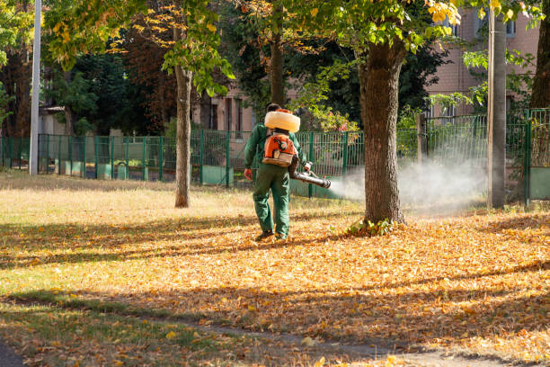 Best Flea Control Services  in Rock Island, WA